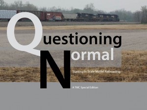 Questioning Normal Ebook cover